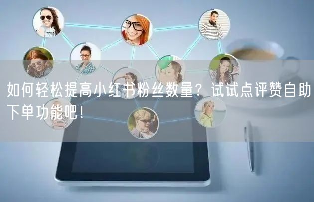 如何轻松提高小红书粉丝数量?试试点评赞自助下单功能吧!