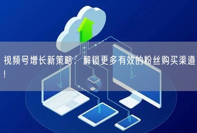 视频号增长新策略:解锁更多有效的粉丝购买渠道!