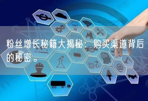 粉丝增长秘籍大揭秘:购买渠道背后的秘密。