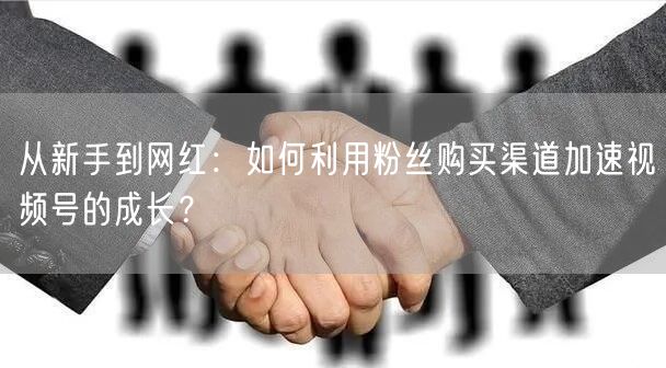 从新手到网红:如何利用粉丝购买渠道加速视频号的成长?