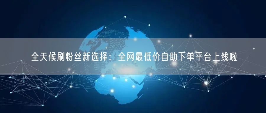 全天候刷粉丝新选择:全网最低价自助下单平台上线啦