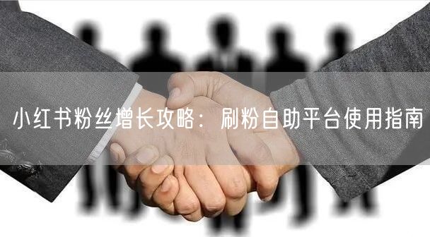 小红书粉丝增长攻略:刷粉自助平台使用指南