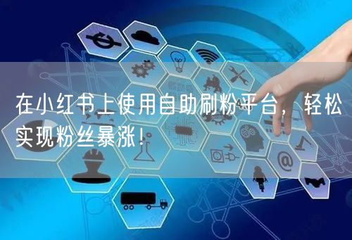 在小红书上使用自助刷粉平台,轻松实现粉丝暴涨!