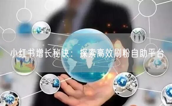 小红书增长秘诀:探索高效刷粉自助平台