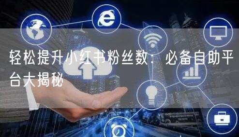 轻松提升小红书粉丝数:必备自助平台大揭秘