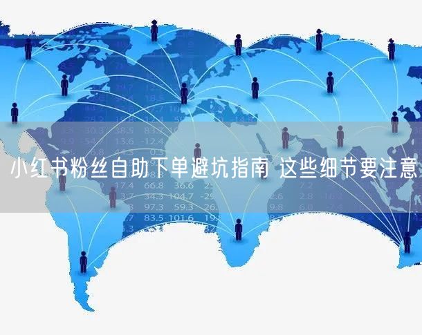 小红书粉丝自助下单避坑指南 这些细节要注意