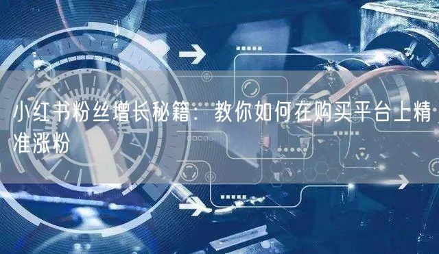 小红书粉丝增长秘籍：教你如何在购买平台上精准涨粉