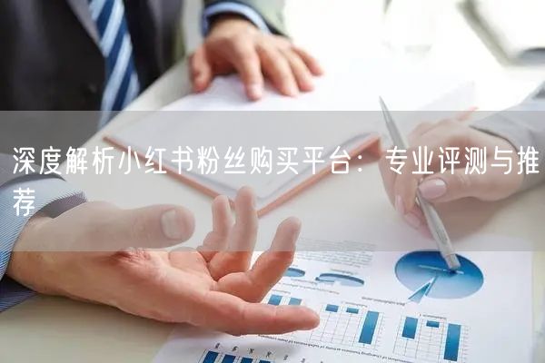 深度解析小红书粉丝购买平台：专业评测与推荐