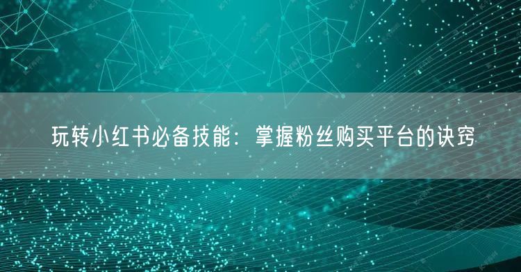 玩转小红书必备技能：掌握粉丝购买平台的诀窍