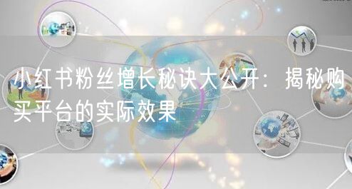 小红书粉丝增长秘诀大公开：揭秘购买平台的实际效果